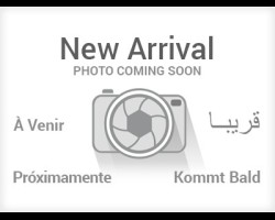 2018 Ford Transit 350 15 Passenger Wagon Low Roof